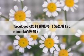 facebook如何看账号（怎么看facebook的账号）