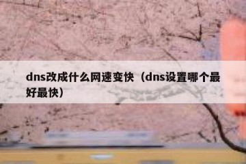 dns改成什么网速变快（dns设置哪个最好最快）