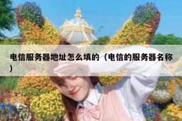 电信服务器地址怎么填的（电信的服务器名称）