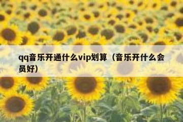 qq音乐开通什么vip划算（音乐开什么会员好）