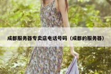 成都服务器专卖店电话号码（成都的服务器）