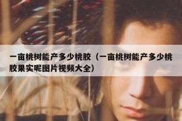 一亩桃树能产多少桃胶（一亩桃树能产多少桃胶果实呢图片视频大全）