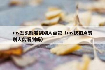 ins怎么能看到别人点赞（ins快拍点赞别人能看到吗）