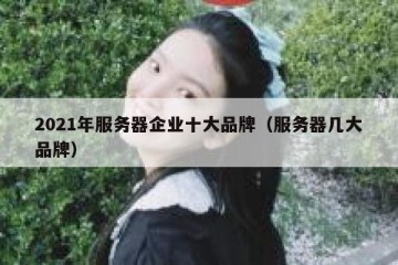 2021年服务器企业十大品牌（服务器几大品牌）