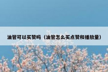 油管可以买赞吗（油管怎么买点赞和播放量）