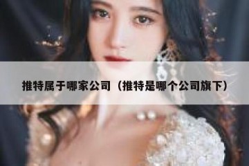 推特属于哪家公司（推特是哪个公司旗下）