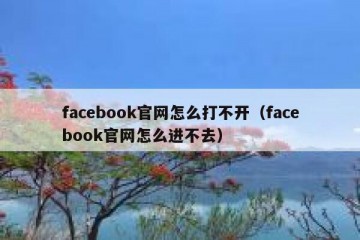 facebook官网怎么打不开（facebook官网怎么进不去）