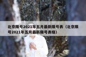北京限号2021年五月最新限号表（北京限号2021年五月最新限号表格）