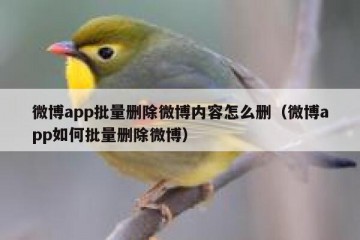 微博app批量删除微博内容怎么删（微博app如何批量删除微博）