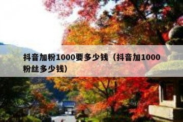 抖音加粉1000要多少钱（抖音加1000粉丝多少钱）