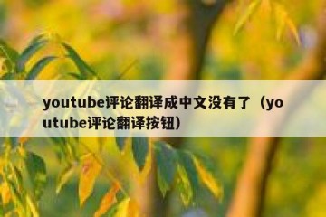 youtube评论翻译成中文没有了（youtube评论翻译按钮）