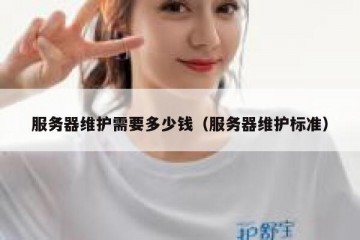 服务器维护需要多少钱（服务器维护标准）