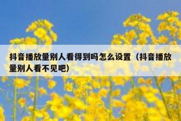 抖音播放量别人看得到吗怎么设置（抖音播放量别人看不见吧）