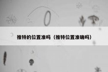 推特的位置准吗（推特位置准确吗）