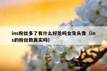 ins粉丝多了有什么好处吗女生头像（ins的粉丝数真实吗）