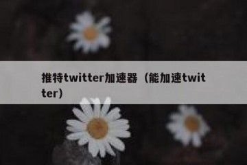 推特twitter加速器（能加速twitter）