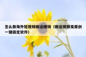 怎么做海外短视频搬运赚钱（搬运视频变原创一键搞定软件）