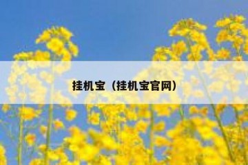 挂机宝（挂机宝官网）
