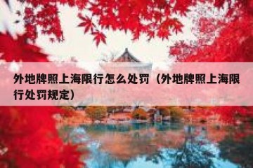 外地牌照上海限行怎么处罚（外地牌照上海限行处罚规定）