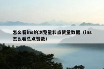 怎么看ins的浏览量和点赞量数据（ins怎么看总点赞数）