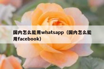 国内怎么能用whatsapp（国内怎么能用facebook）