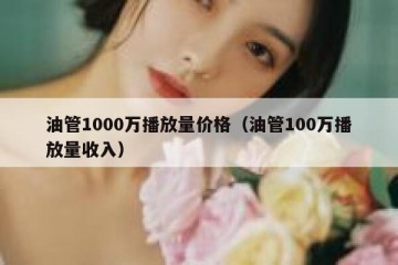 油管1000万播放量价格（油管100万播放量收入）