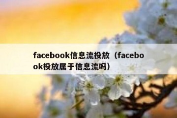 facebook信息流投放（facebook投放属于信息流吗）