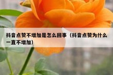 抖音点赞不增加是怎么回事（抖音点赞为什么一直不增加）