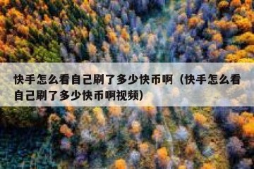 快手怎么看自己刷了多少快币啊（快手怎么看自己刷了多少快币啊视频）
