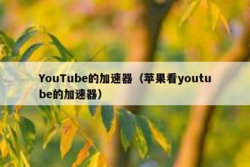 YouTube的加速器（苹果看youtube的加速器）