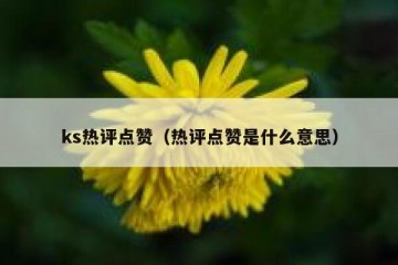 ks热评点赞（热评点赞是什么意思）