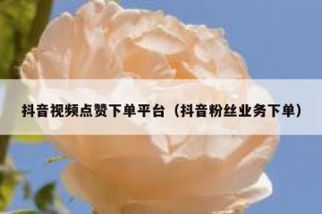 抖音视频点赞下单平台（抖音粉丝业务下单）