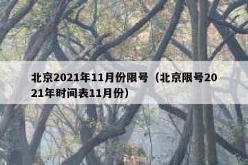 北京2021年11月份限号（北京限号2021年时间表11月份）
