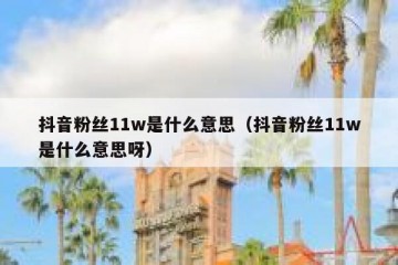 抖音粉丝11w是什么意思（抖音粉丝11w是什么意思呀）