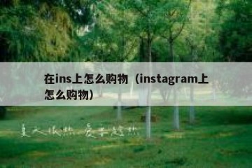 在ins上怎么购物（instagram上怎么购物）