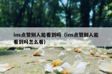 ins点赞别人能看到吗（ins点赞别人能看到吗怎么看）
