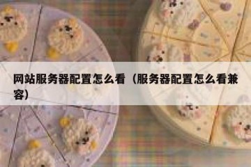 网站服务器配置怎么看（服务器配置怎么看兼容）