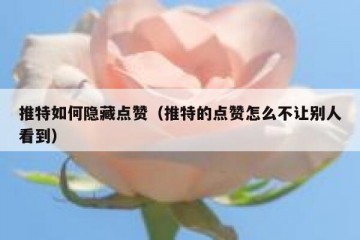 推特如何隐藏点赞（推特的点赞怎么不让别人看到）