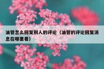 油管怎么回复别人的评论（油管的评论回复消息在哪里看）