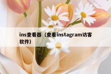 ins查看器（查看instagram访客软件）