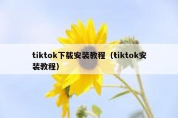 tiktok下载安装教程（tiktok安装教程）