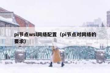 pi节点wsl网络配置（pi节点对网络的要求）