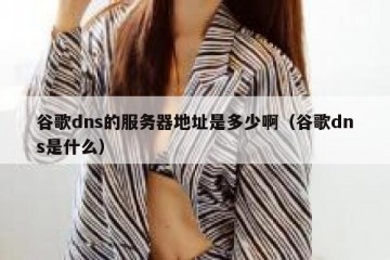谷歌dns的服务器地址是多少啊（谷歌dns是什么）