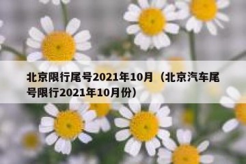 北京限行尾号2021年10月（北京汽车尾号限行2021年10月份）