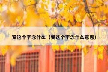 赞这个字念什么（赞这个字念什么意思）