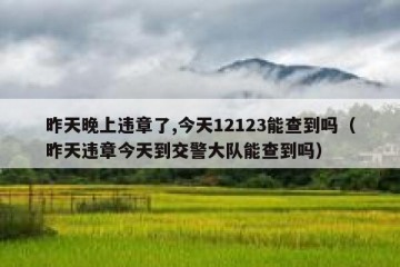 昨天晚上违章了,今天12123能查到吗（昨天违章今天到交警大队能查到吗）