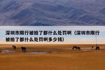 深圳市限行被拍了都什么处罚啊（深圳市限行被拍了都什么处罚啊多少钱）