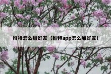 推特怎么加好友（推特app怎么加好友）