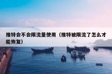 推特会不会限流量使用（推特被限流了怎么才能恢复）