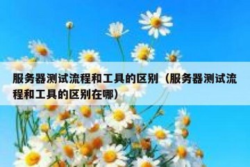 服务器测试流程和工具的区别（服务器测试流程和工具的区别在哪）